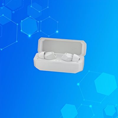 Auxilios auditivos OTC Invisibles en el canal 113DB Auxilios auditivos ocultos para pérdida leve de audición